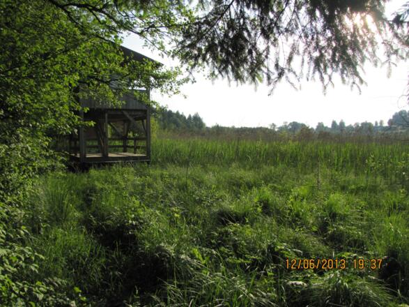 moorlehrpf aussichtsturm