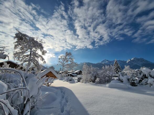 Garten im Winter