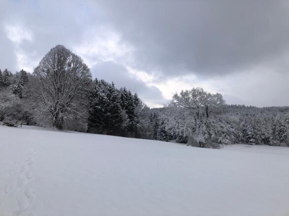 Bei Berg