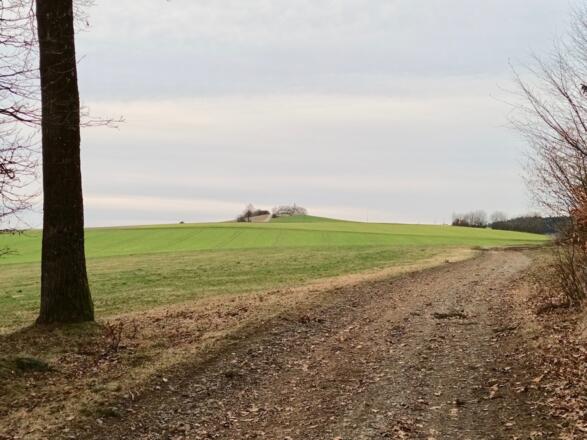 Blick zur Aussichtsplattform Kammerlsperg