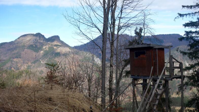 Jagastand um 950 m, Winghagkogel links hinten.