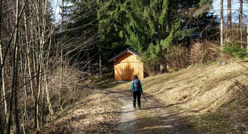 Hier links kurz weglos durch den Wald zur Forststraße