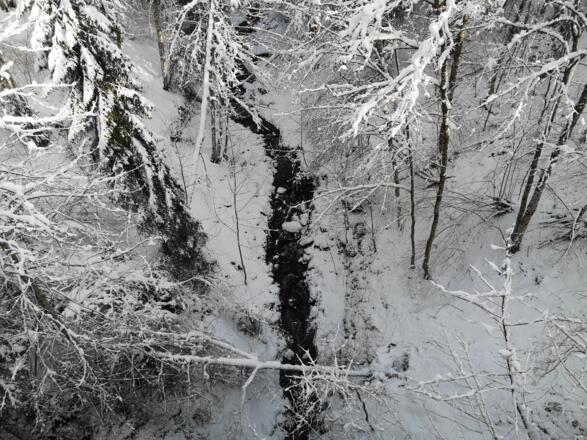 Scheffau_Winter-Rehbachrunde_Blick in die Rehbachschlucht