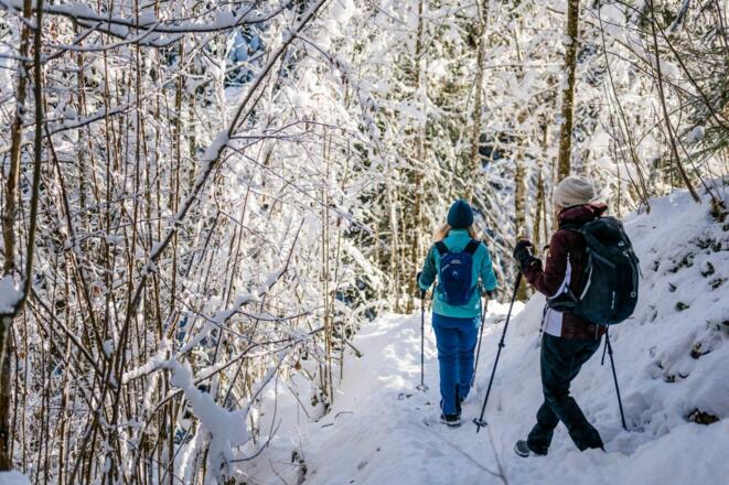 Scheffau_Winterwandern_Wald_Schnee