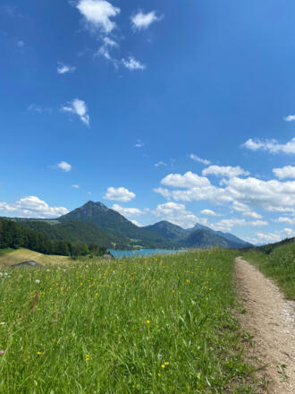 Kurz vor der Bundesstraße am Ende