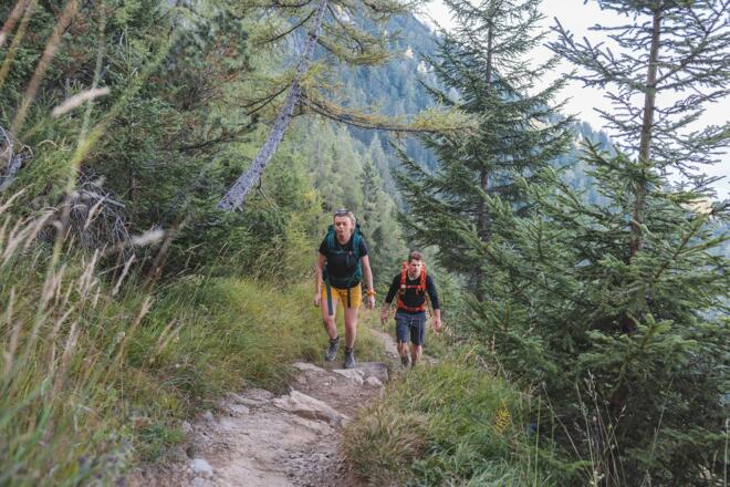 Scheffau_Weg Nr. 827_Hochegg_Wilder Kaiser