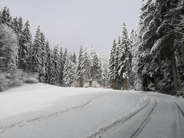 Scheffau_Winter-Rehbachrunde_Weg Richtung Parkplatz Gaisberg