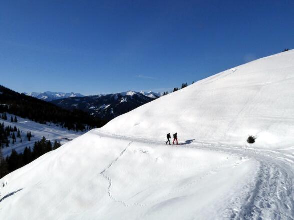 Der erste Abschnitt folgt noch kurz dem Sommerweg Richtung Mitterfeldalm.