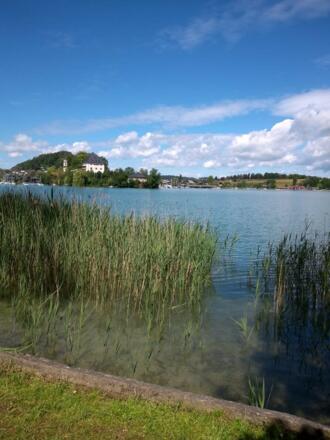 Blick auf Schloss Mattsee