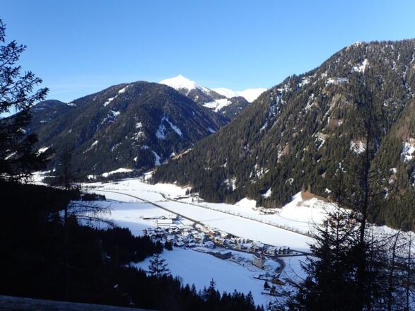 Blick auf St. Martin