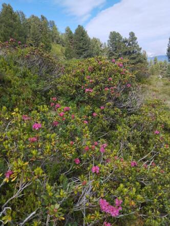 IMG-20240112-WA0125