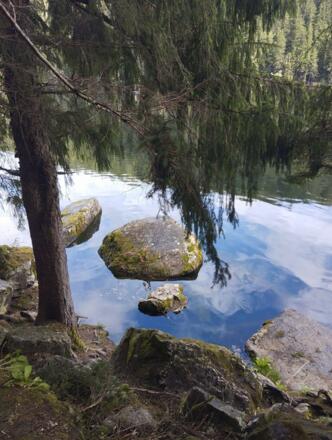 IMG-20240112-WA0113