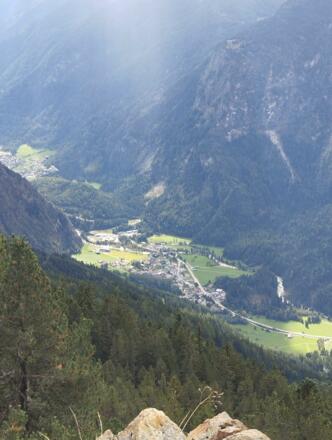 IMG-20240112-WA0101
