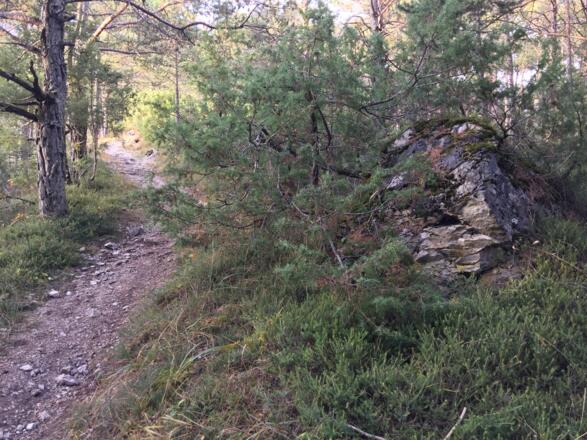 Weg Schatzrunde Sautens
