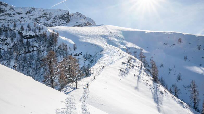 Der Grat zu den Hohen Rossfeldern