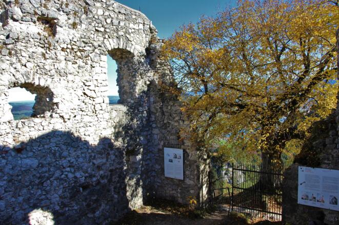 Die Burgruine Falkenstein - Deutschlands höchstgelegene Burgruine