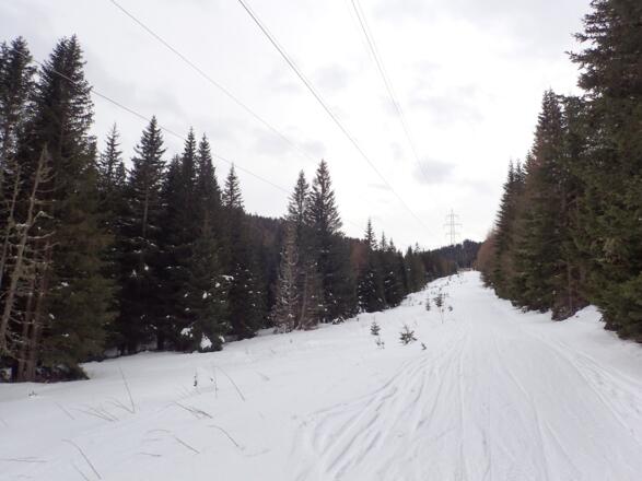 Abfahrt über die Skiroute S1