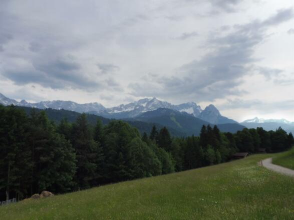 Ausblick