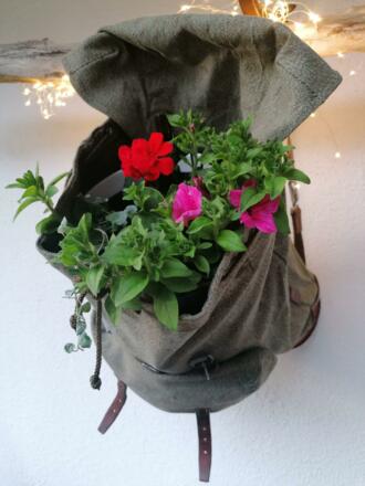 IMG-20240112-WA0133