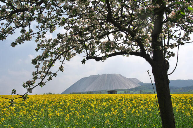 Monte Kali vom Rhäden-Rundweg bei Dankmarshausen