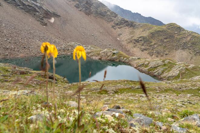 Der Weg führt vorbei am Schmalzgrubensee.