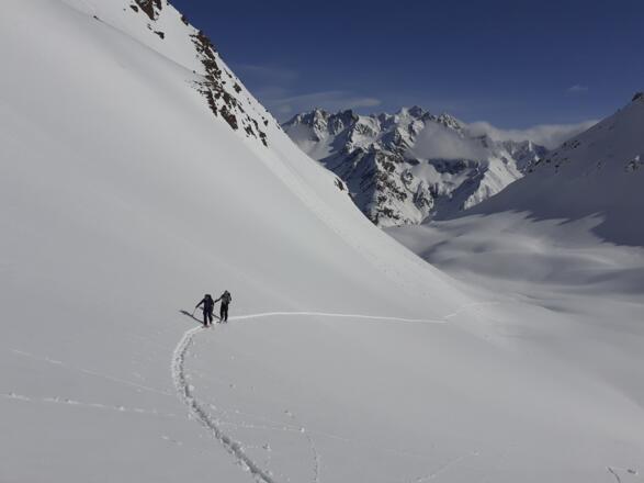 Am Beginn der südexponierten Mulde auf gut 2600 m, die zum Joch (Pkt. 3017) führt; vis-à-vis die Hohe Geige