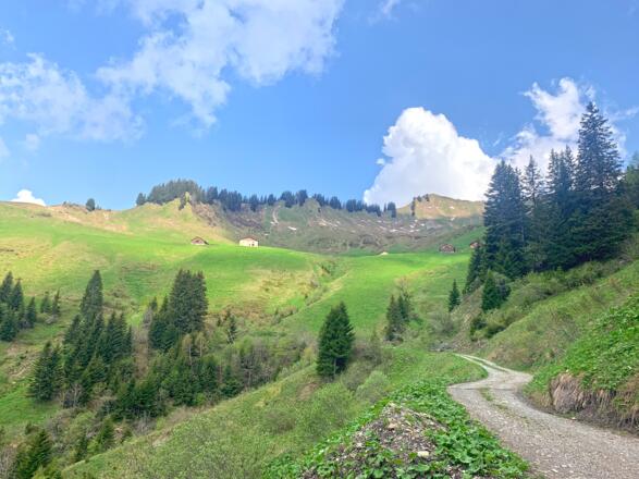 Unterwegs Richtung Sentum Alpe