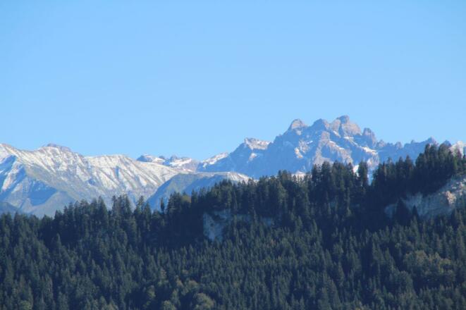 Panorama