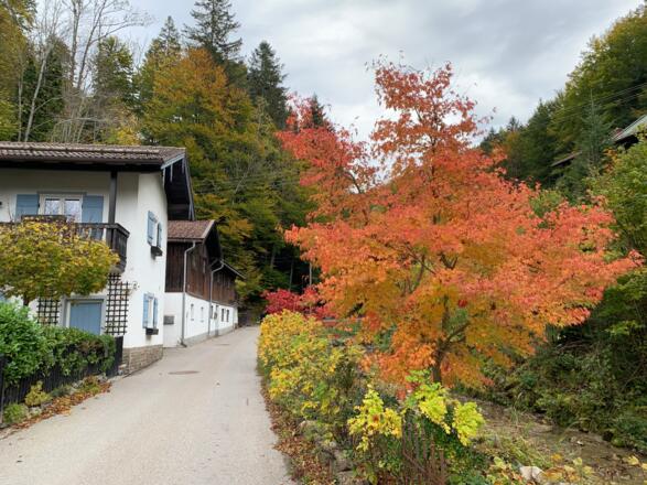 Alpbach in Tegernsee