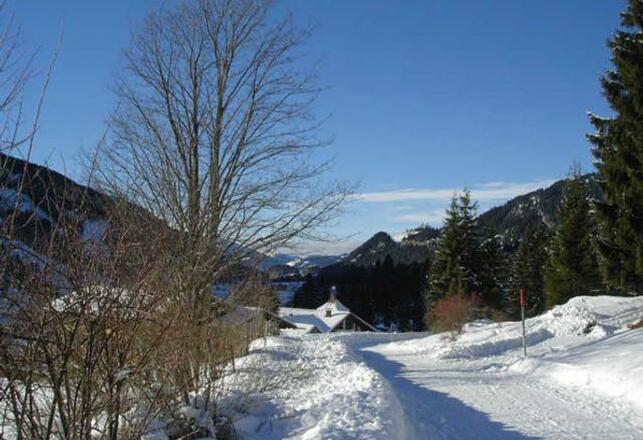 Bei Ferienwohnung 2 und 3 lädt ein Balkon mit wundervollem Blick zum entspannen und genießen ein.