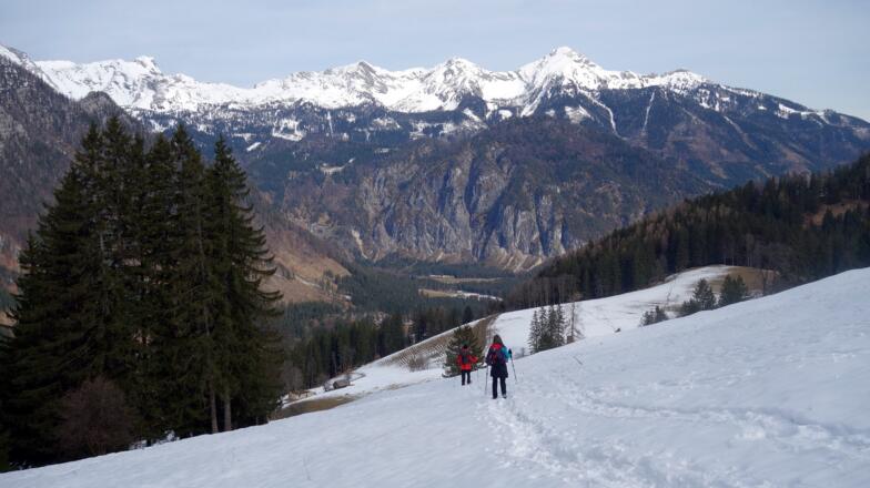Abstieg auf Nord-Piste, links (880m) und auf der Forststraße zum WEG 209.