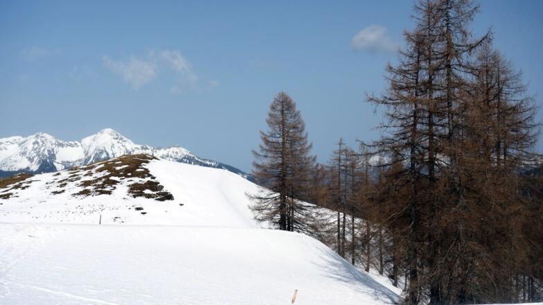 Blick über die Kuppe 1630m zum Kleinem Priel 2136m