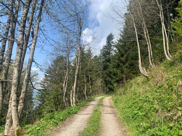 Teilweise auch entlang von Güterwegen