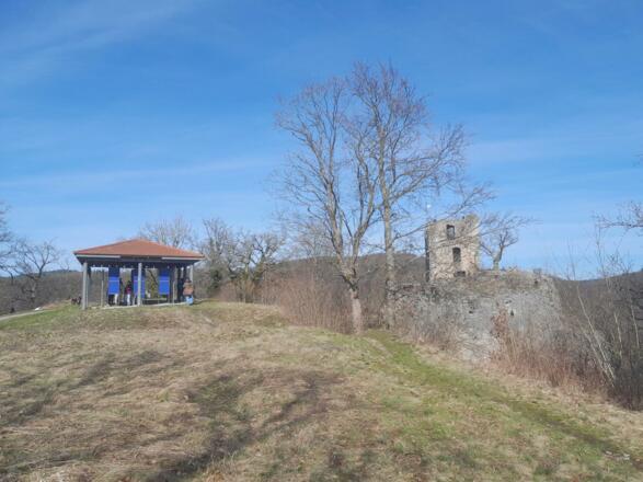 Burgruine Neideck