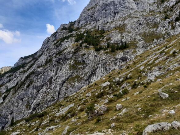 Durch diese Grasrampe, weitgehend oberhalb der Latschen, verlief der Abstieg