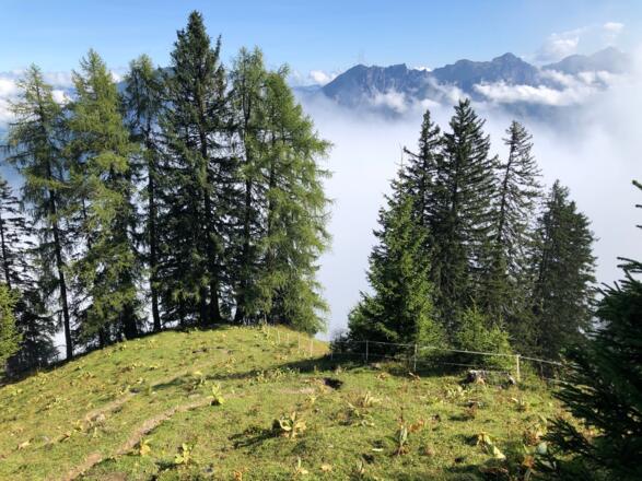 kurz vor der Nonnenalpe