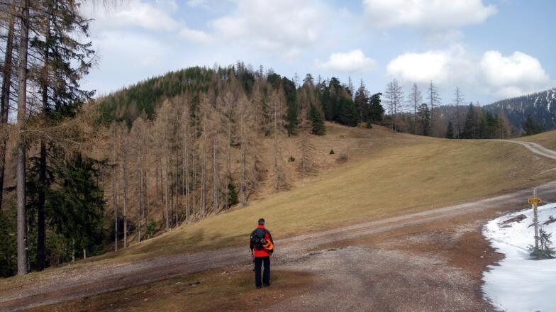 Schafferkogel 1200m beim Abstieg von ca. 1120m