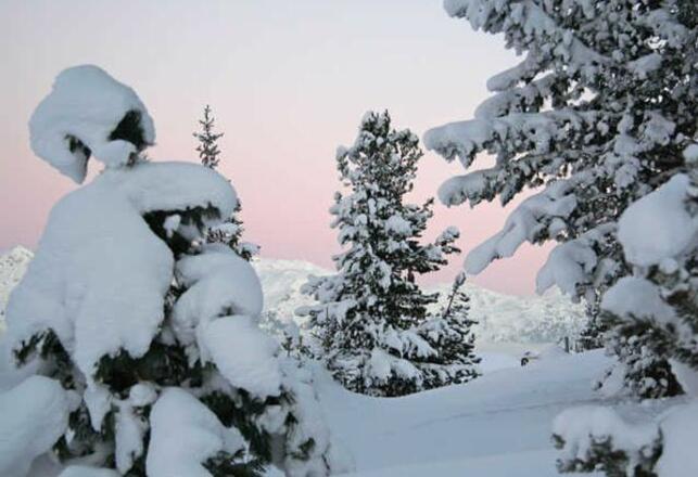 Auf unserer 50 m² großen Terrasse kommen Sonnenhungrige von früh bis spät auf Ihre Kosten!