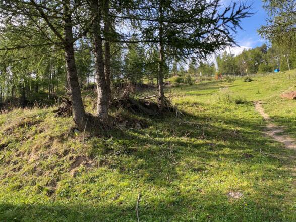Wanderung Richtung Stiegele