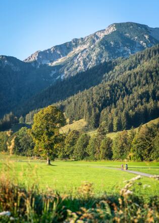 Radfahrer mit Bergpanorama