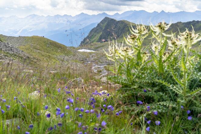 Die Niederelbehütte rückt in greifbare Nähe.
