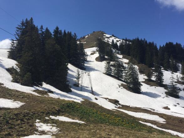 Für die Jahreszeit (Anfang Juni) noch u ngewöhnlich viel Schnee, aber der Wanderweg ist bereits frei von Schnee