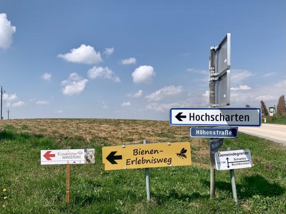 Schilderwald am Kirschblüten Weg