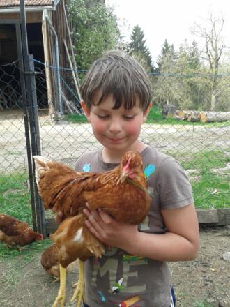 auch die Hühner wollen gestreichelt werden