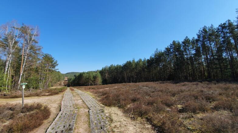 Heide am Grünen Band