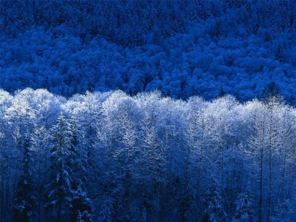 Winterbild