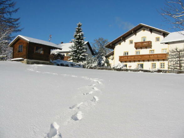 Spuren im Schnee...verschneites Dienberg