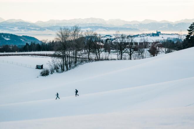 Schneeschuhwanderung im Mühlviertel