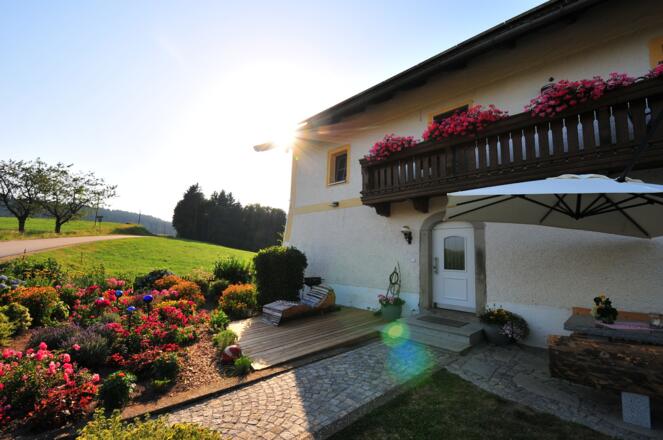 Bauerngarten vorm Ferienhaus