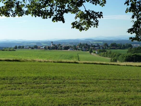 Aussicht Bayerischer Wald